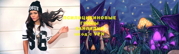 mix Карпинск