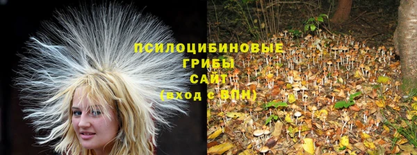 дмт Карталы